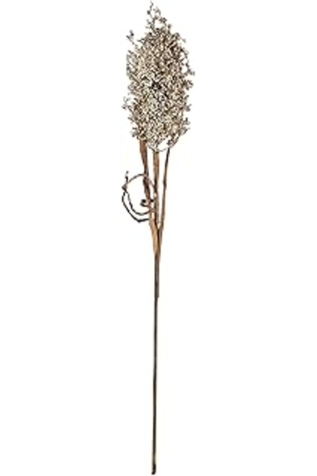 Qedii Villa Collection Kvist Pampus Çim Işık Dekoru 86 Cm Doğal