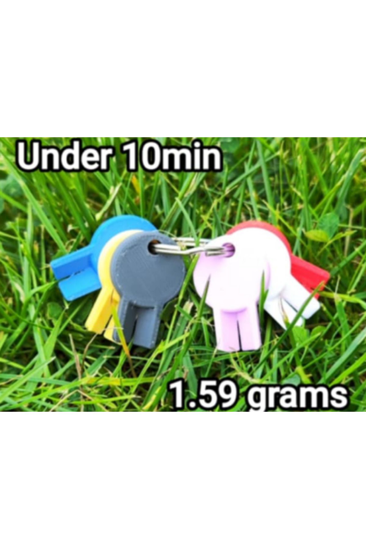 talaşoğlu Anahtarlık Kene Çıkartma (1.59 gram, 10 dakika baskı)