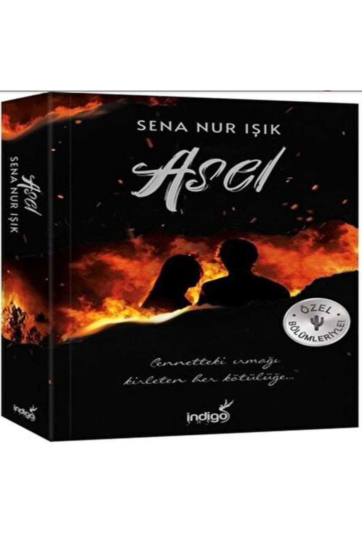 Destek Yayınları Asel