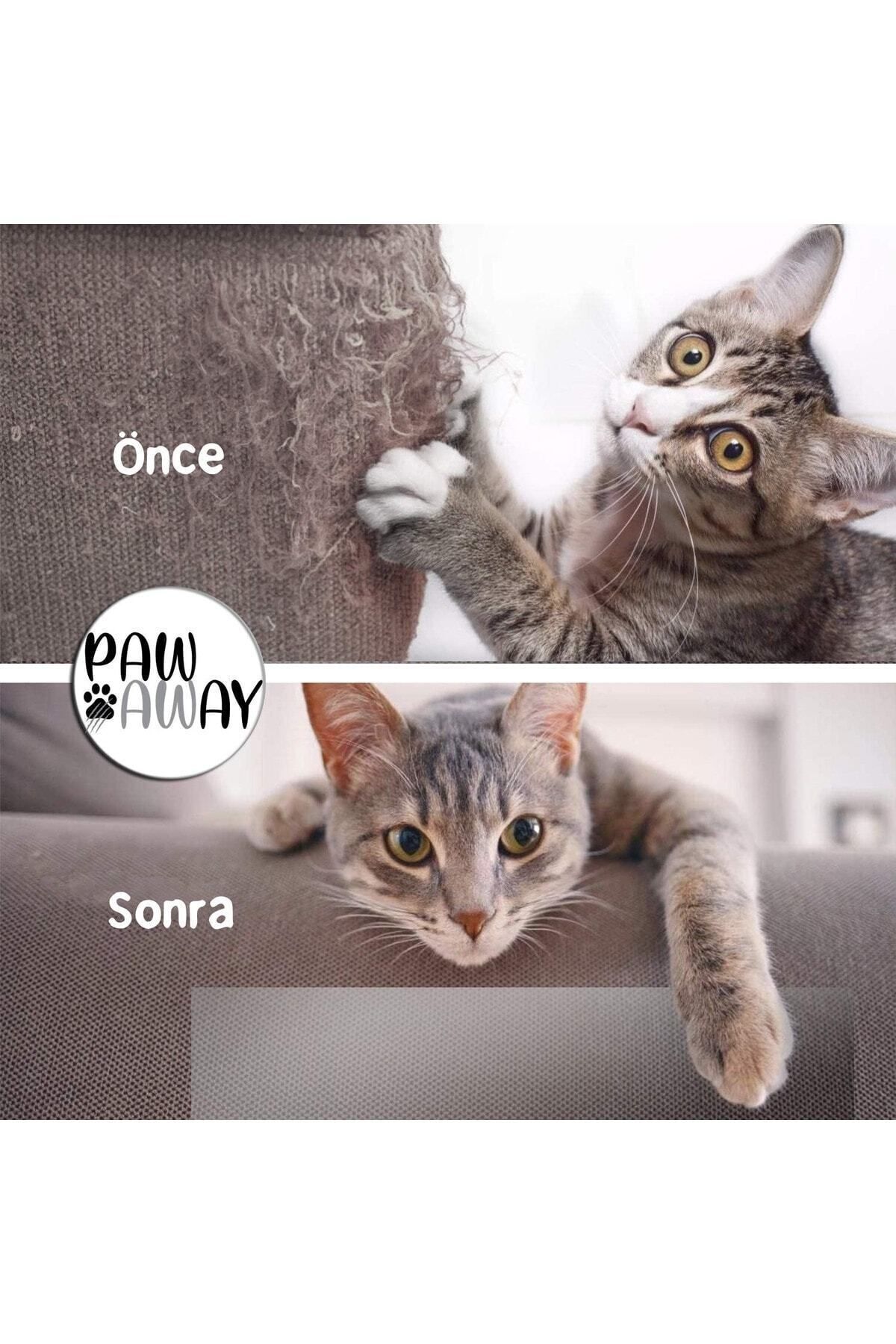 Elioure Kedi Eğitim Bandı Tek Yüz Yapışkanlı Tırmalama Caydırıcı Koltuk Mobilya Koruyucu 25x45 Cm. 4 Adet