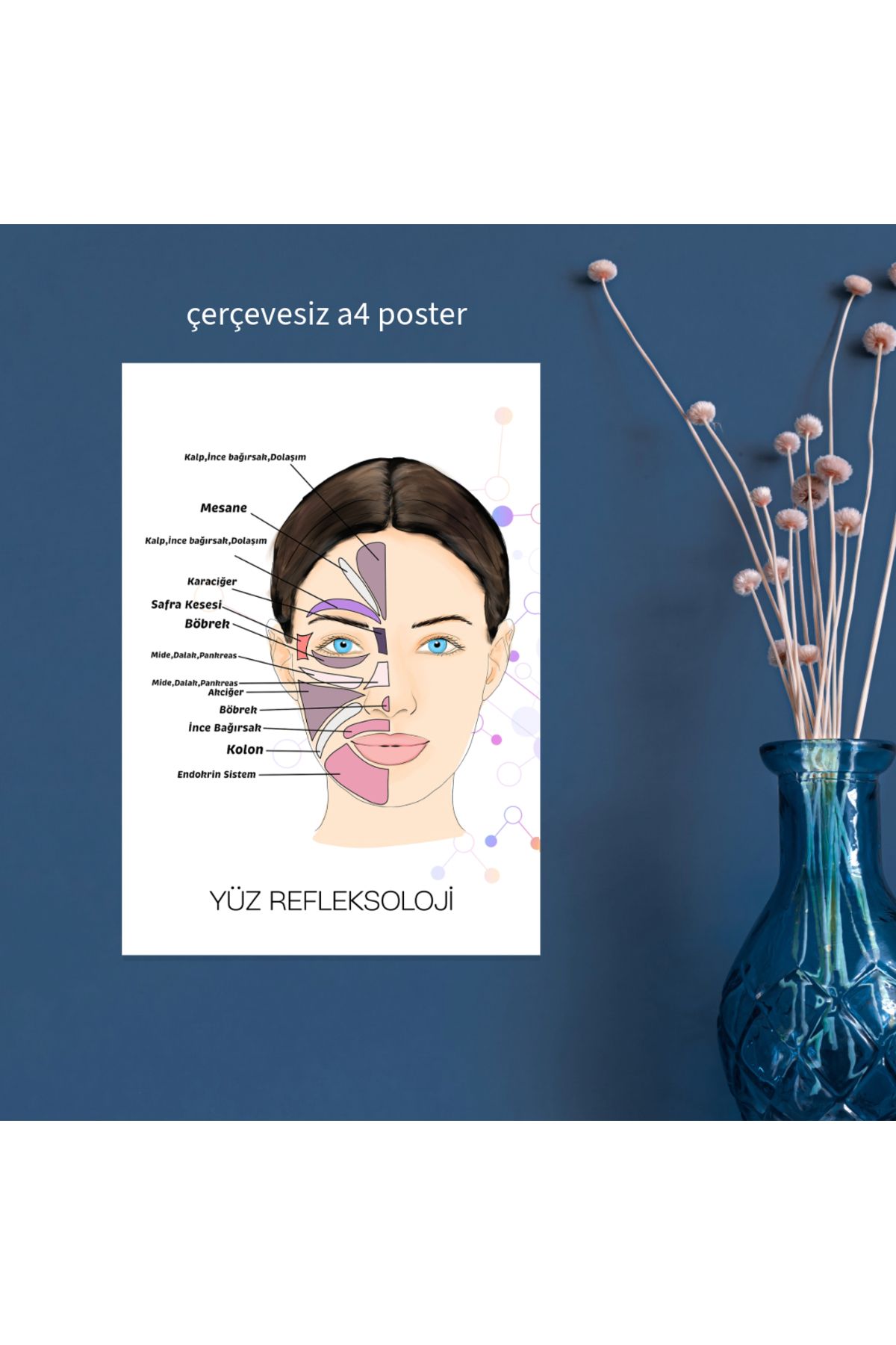 Fatofotofan Akupuntur Yüz Refleksoloji Haritası A4 Çerçevesiz Poster