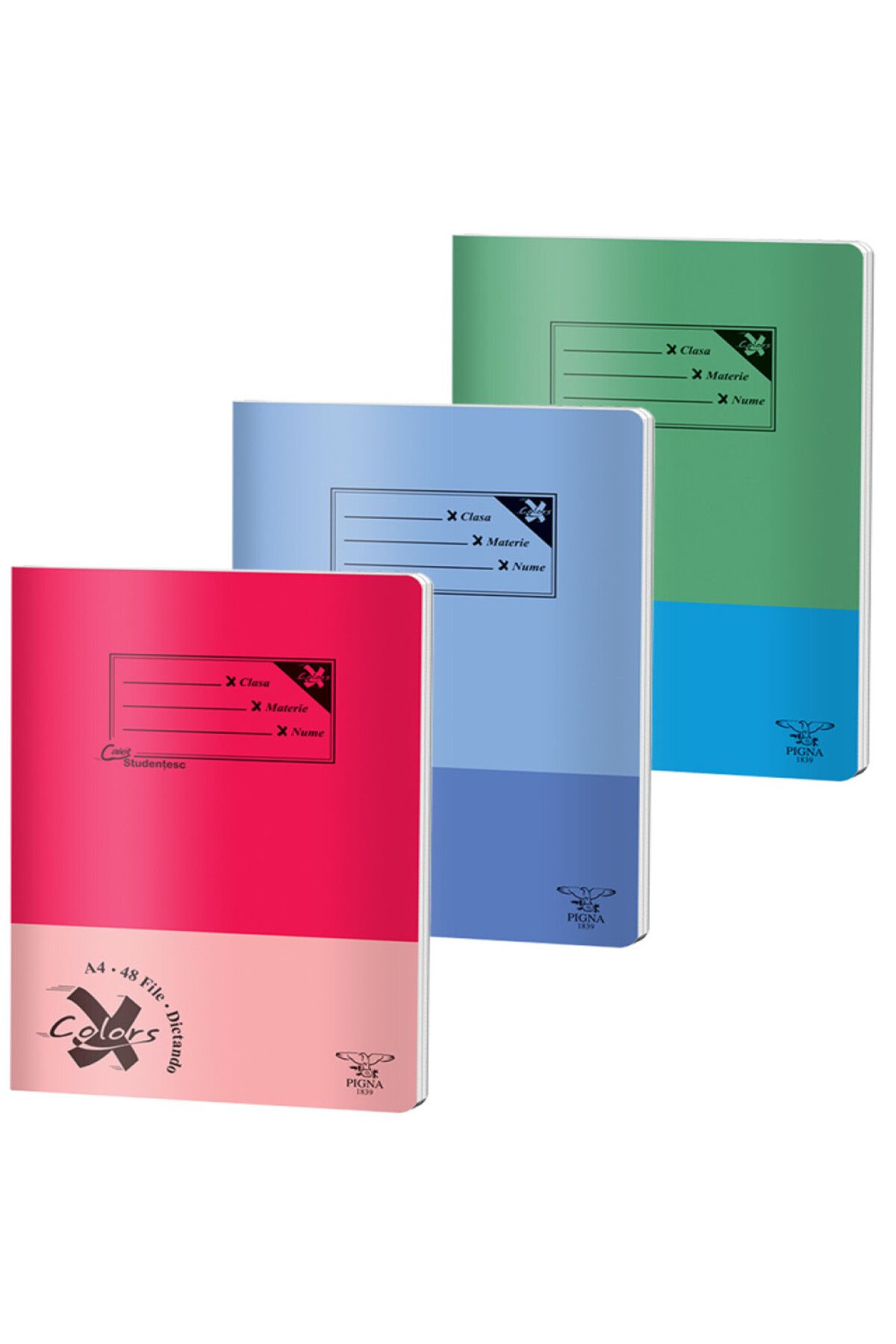 PIGNA-Notebook A4, 48 Files, Dictation, Basic, 1