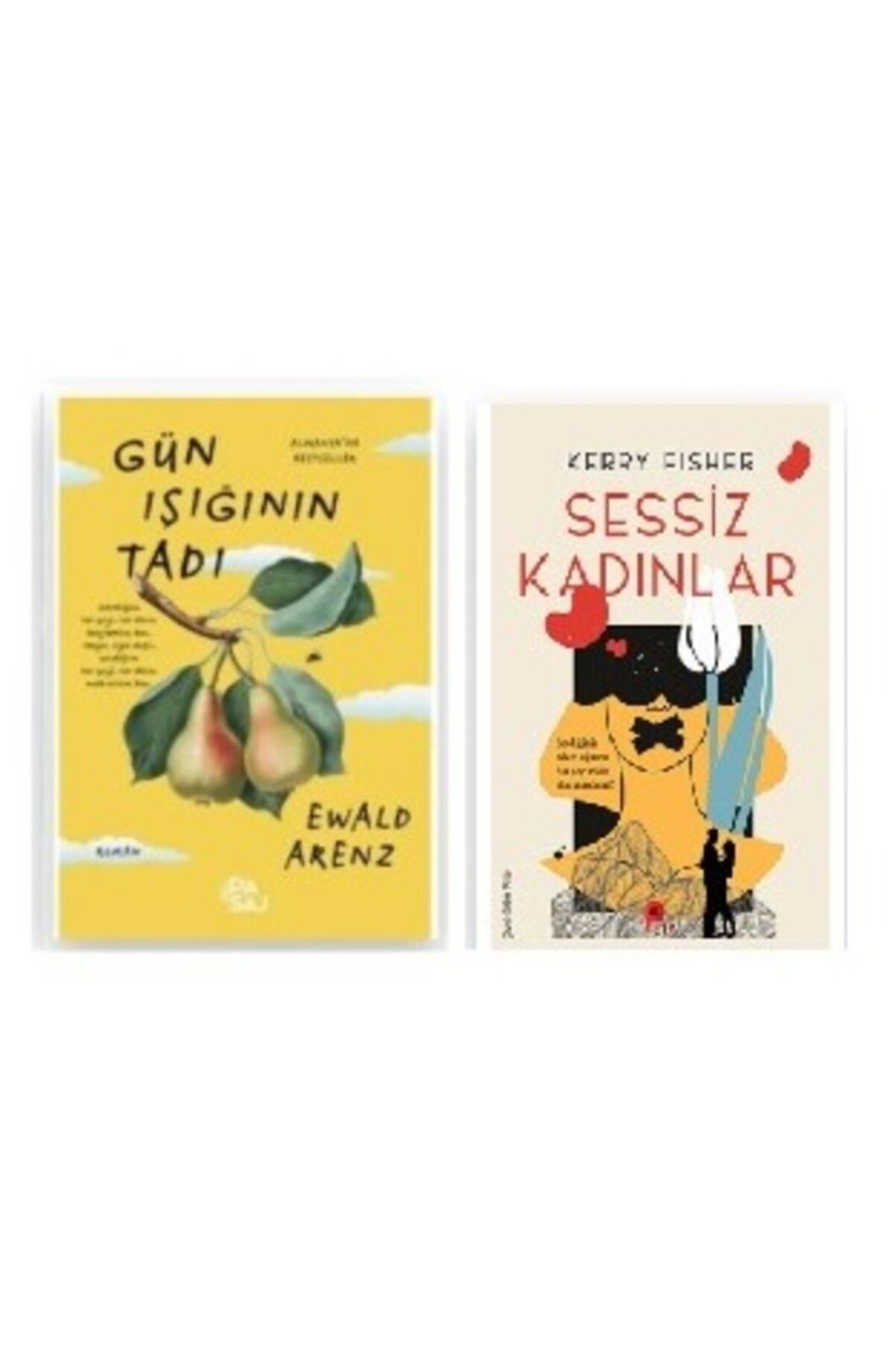 Yan Pasaj Yayınevi Gün Işığının Tadı - Sessiz Kadınlar HEDİYE