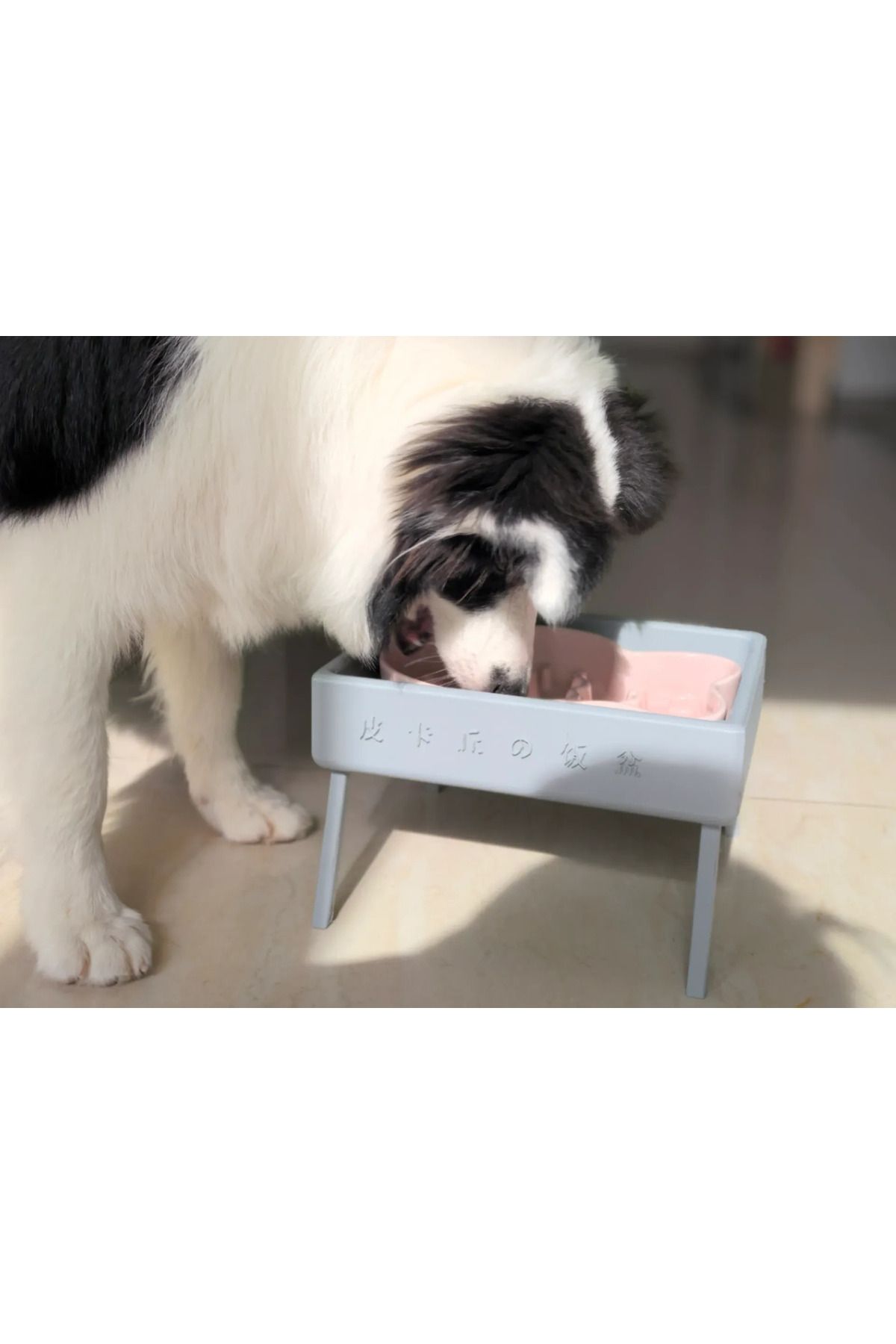 talaşoğlu Kedi ve köpek maması potu yükseklik rafı