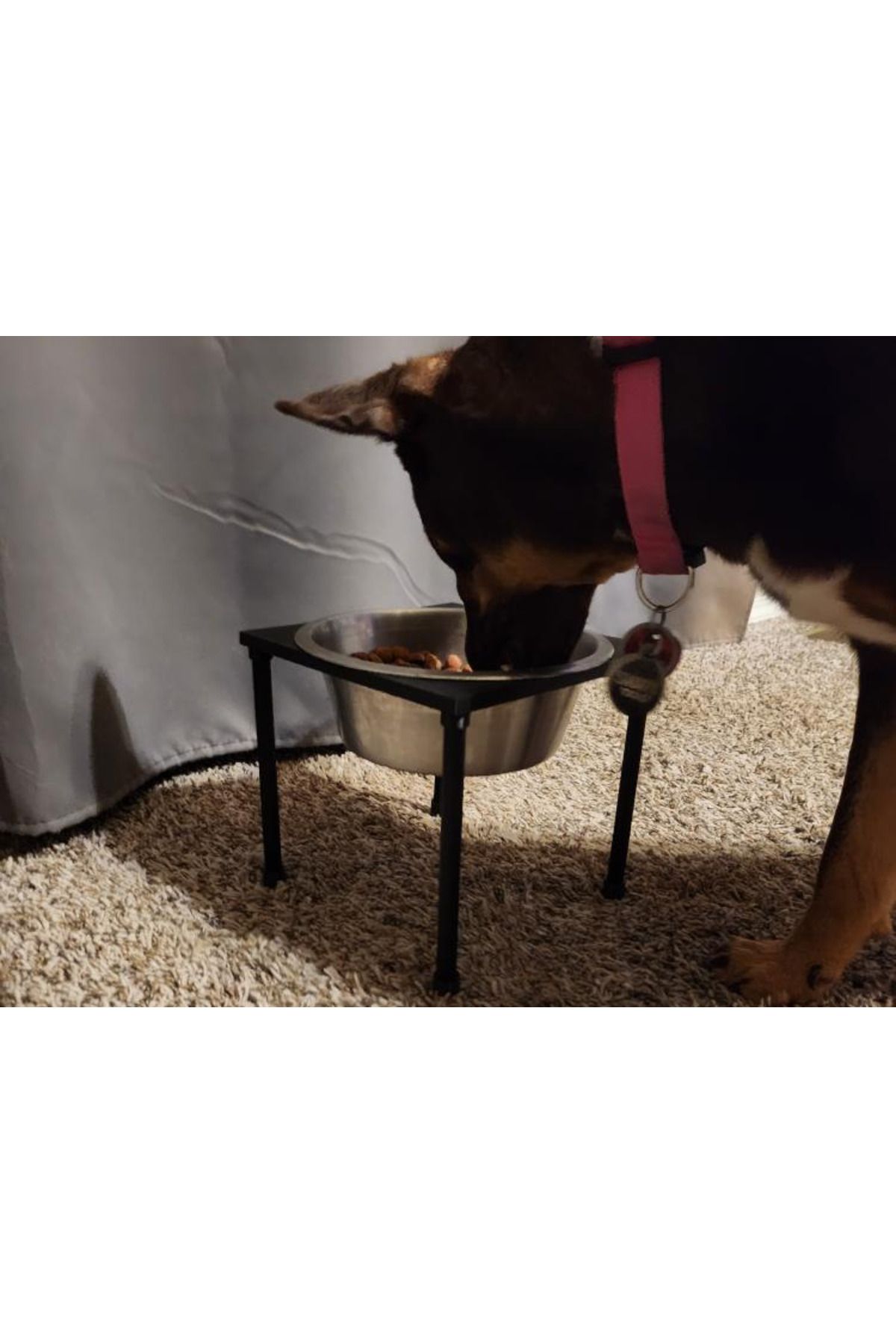 talaşoğlu Köpek kasesi yükseltici