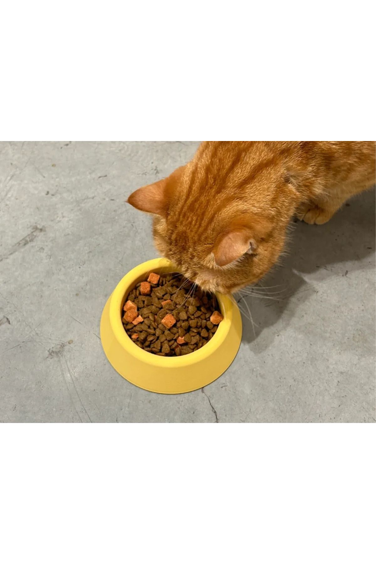 talaşoğlu Basit kedi kasesi, kedi havzası, köpek havzası
