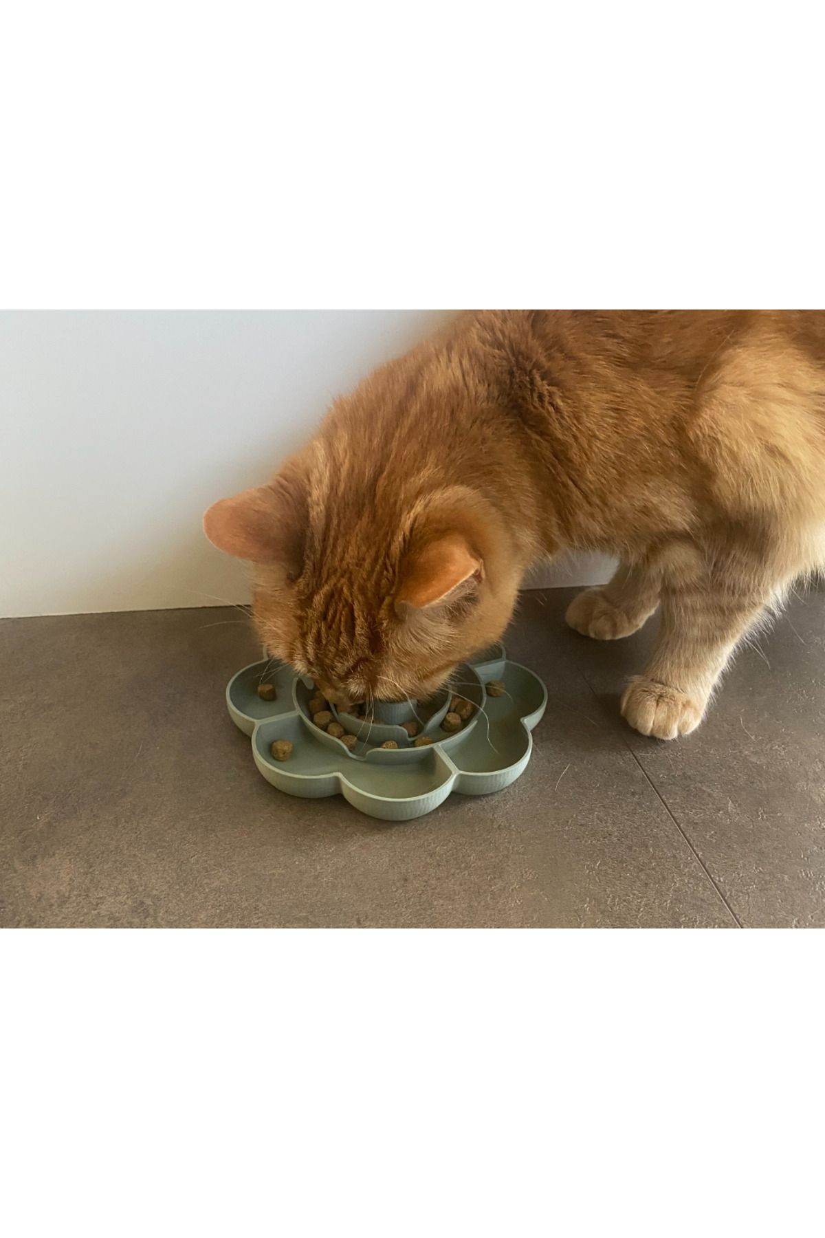 talaşoğlu Pet Slow Besleyici