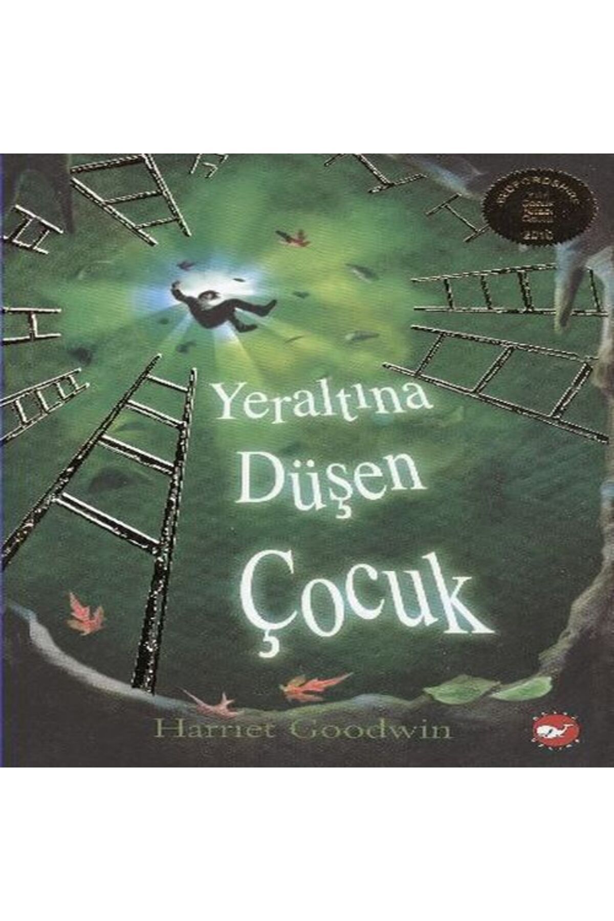 Karatay Yayınları Yeraltına Düşen Çocuk