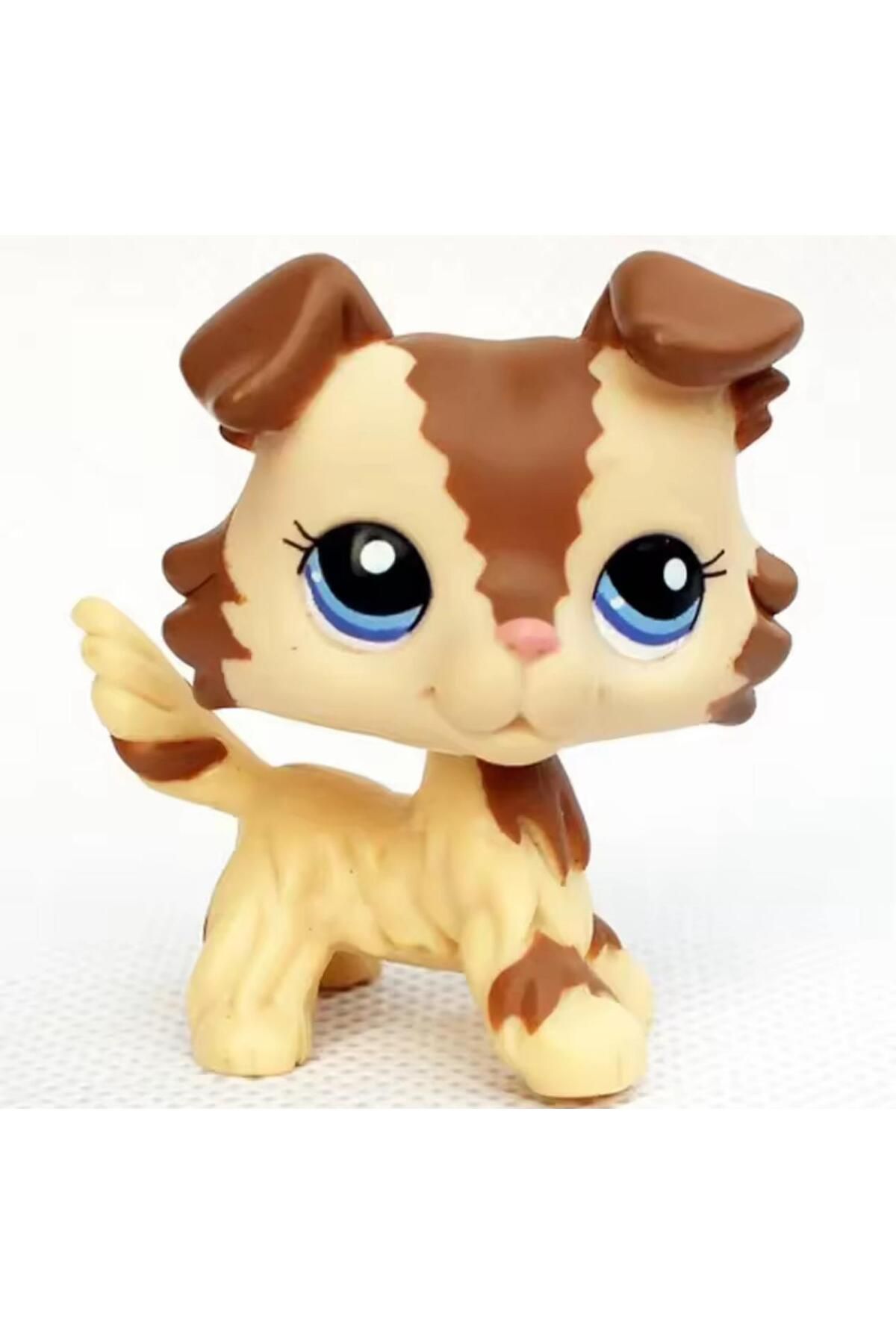 Little Pet Shop MİNİŞ