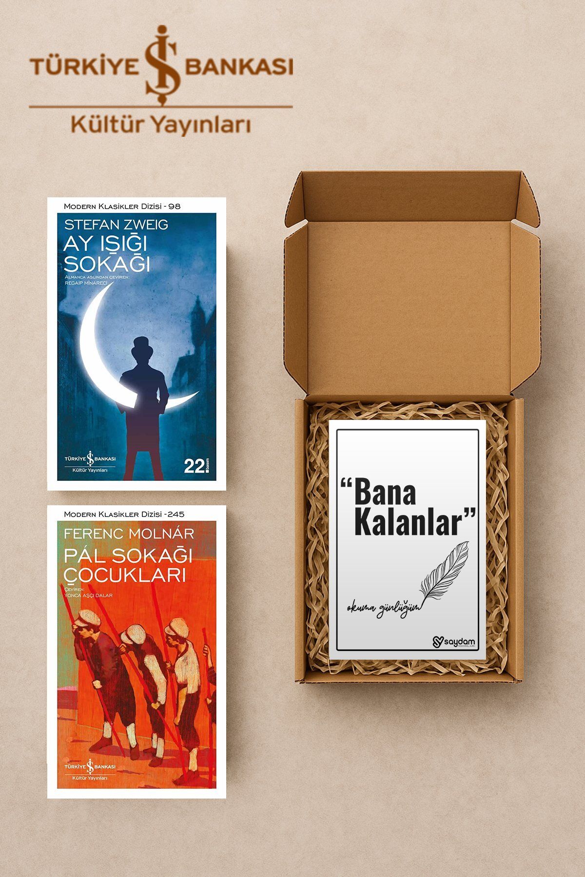 TÜRKİYE İŞ BANKASI KÜLTÜR YAYINLARI Ay Işığı Sokağı & Pál Sokağı Çocukları Seti