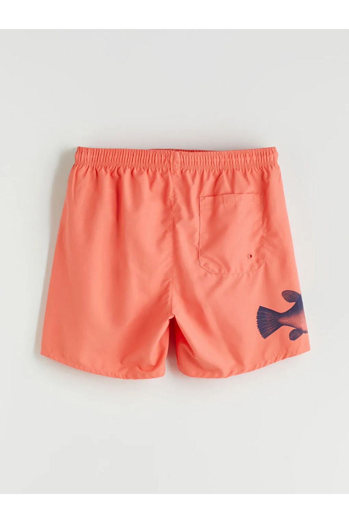 LC Waikiki-Mercan Short Size Spongebob Printed Men's Swim Shorts 2