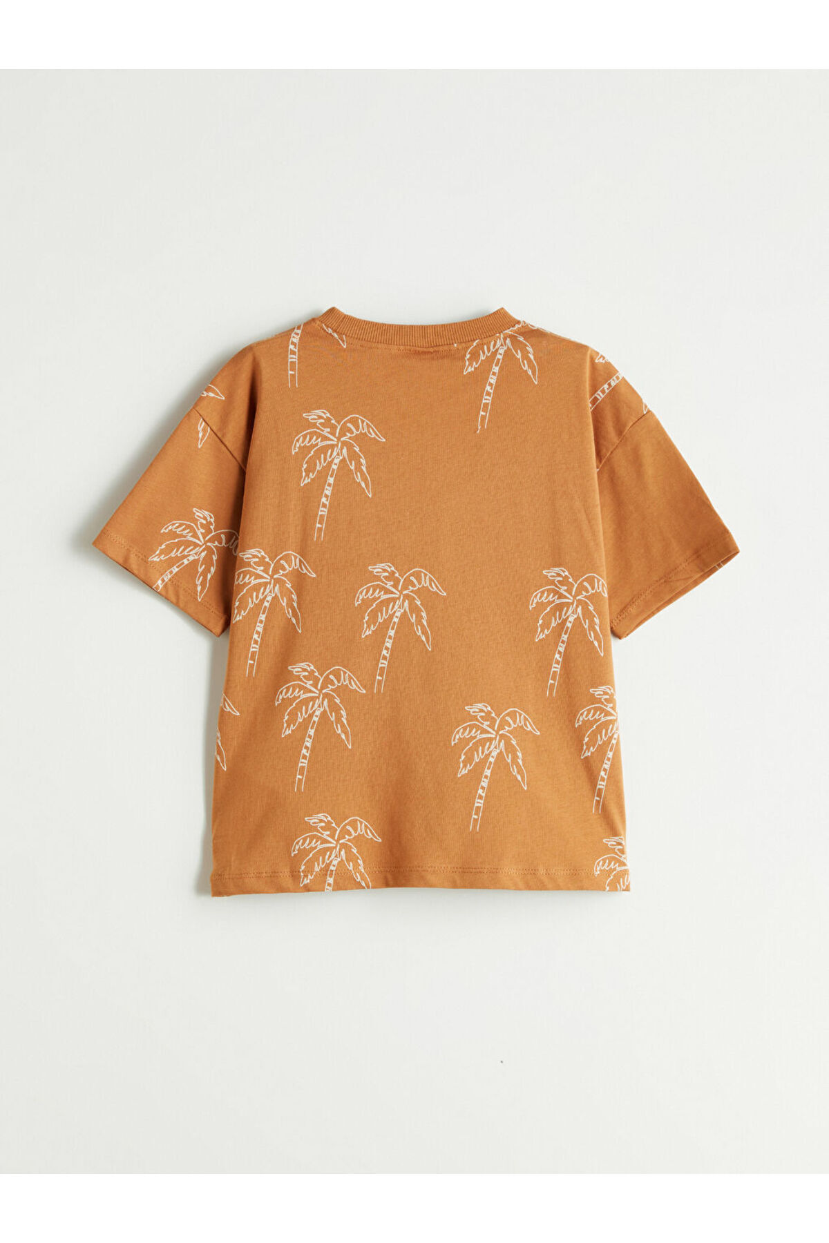LC Waikiki-Create Your Style with Uzg Store |   Printed Boys' T-Shirt and Shorts 2-Pack 4