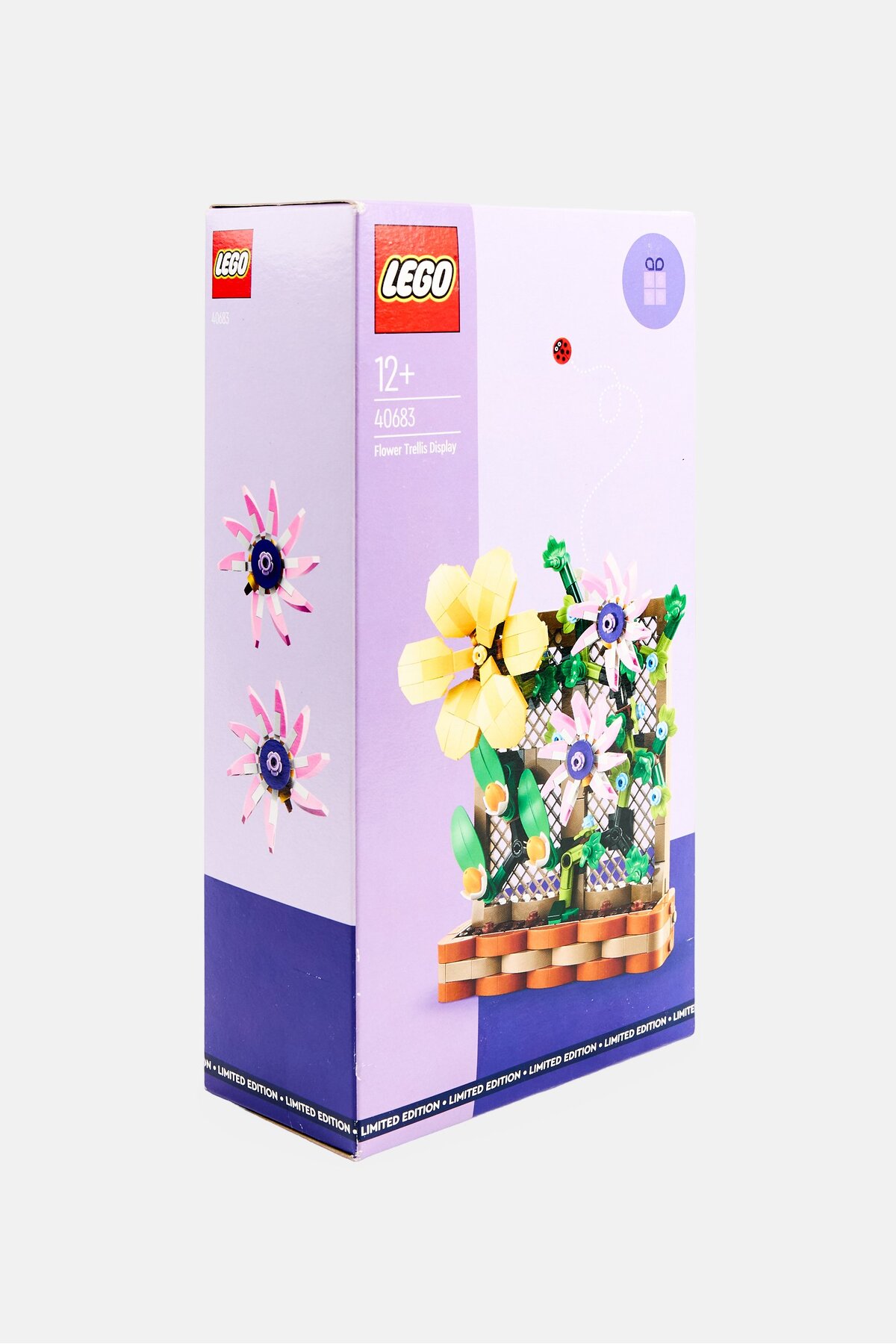 نمایشگر چهارچوب گل LEGO 40683