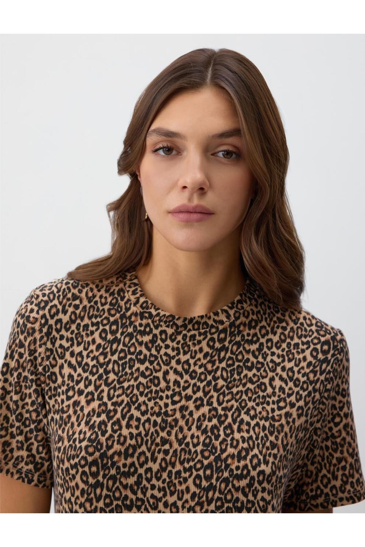 Jimmy Key-Print Straight Cut Crew Neck Short Sleeve Knitted Dress 5