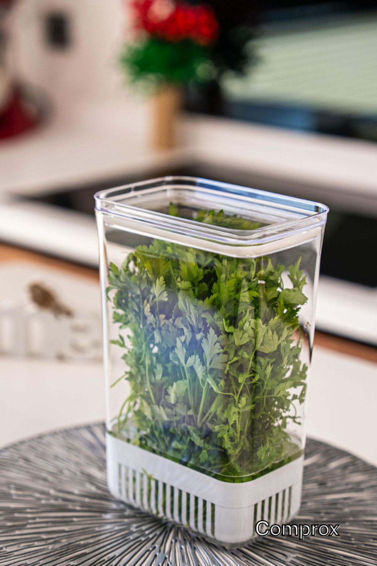 Comprox-Greenery Storage Container 2900 ml |   Vegetable Storage & Refrigerator Freshener Box 7