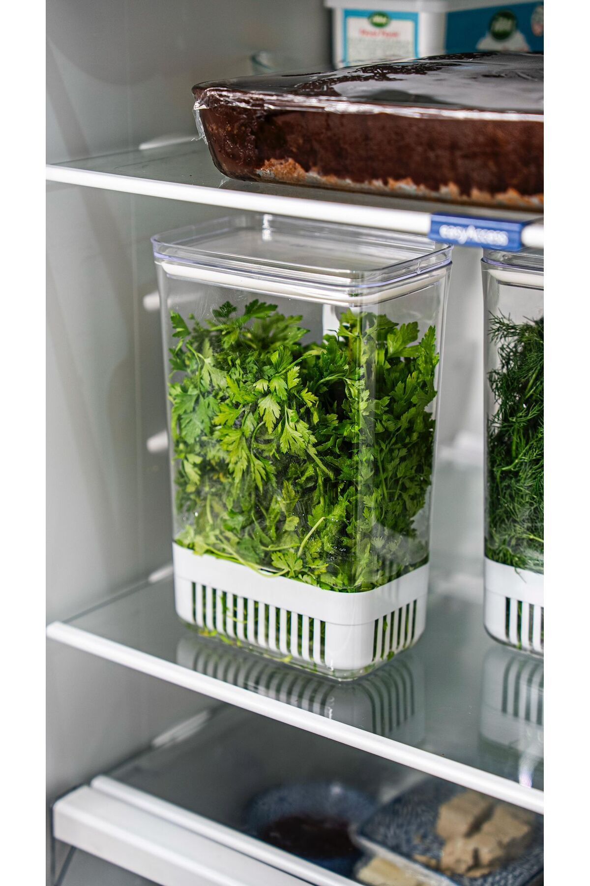 Comprox-Greenery Storage Container 2900 ml |   Vegetable Storage & Refrigerator Freshener Box 3