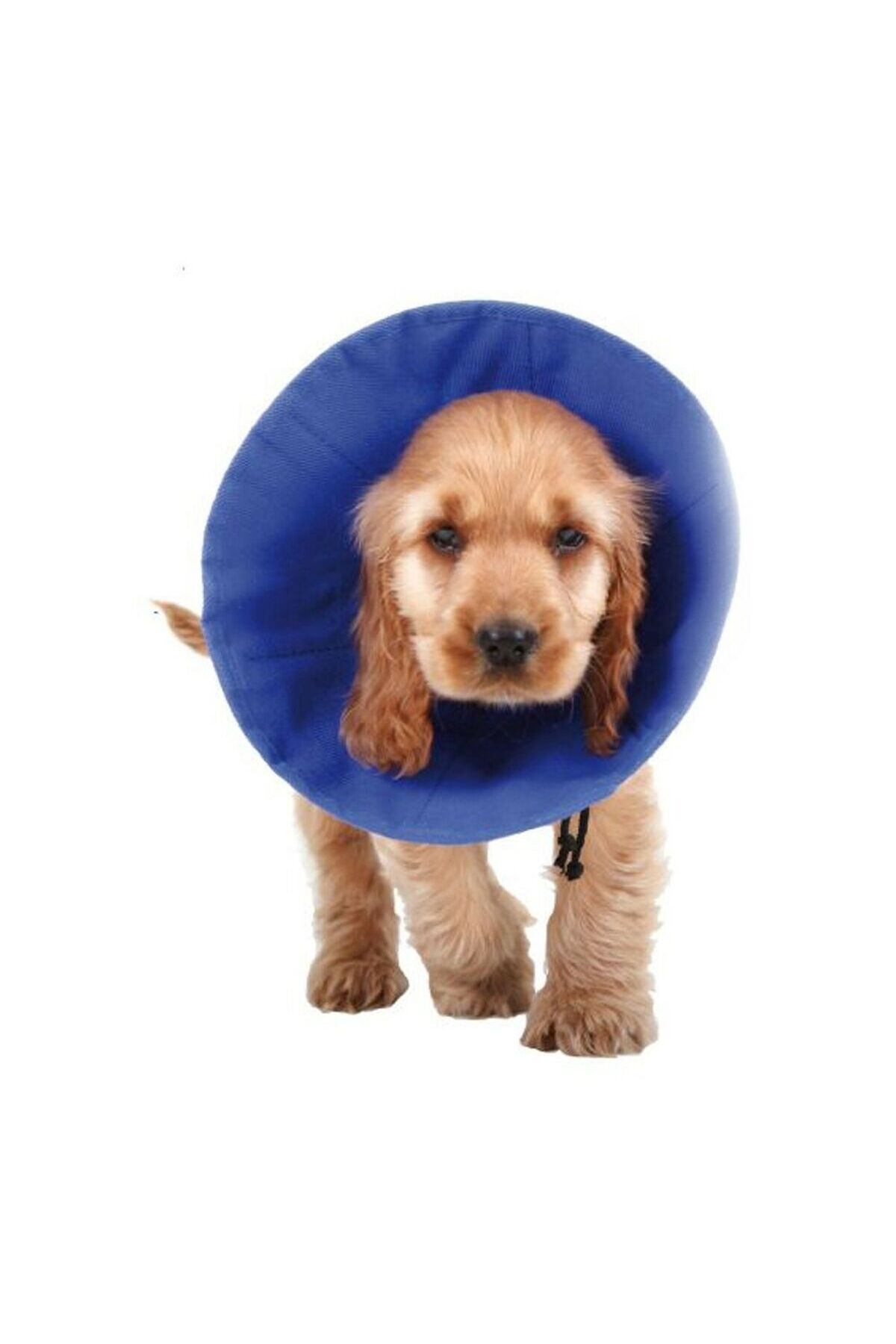 SKVP-Guler elisabetan pentru câini, KVP EZ Soft, 9-25 cm, Albastru 1