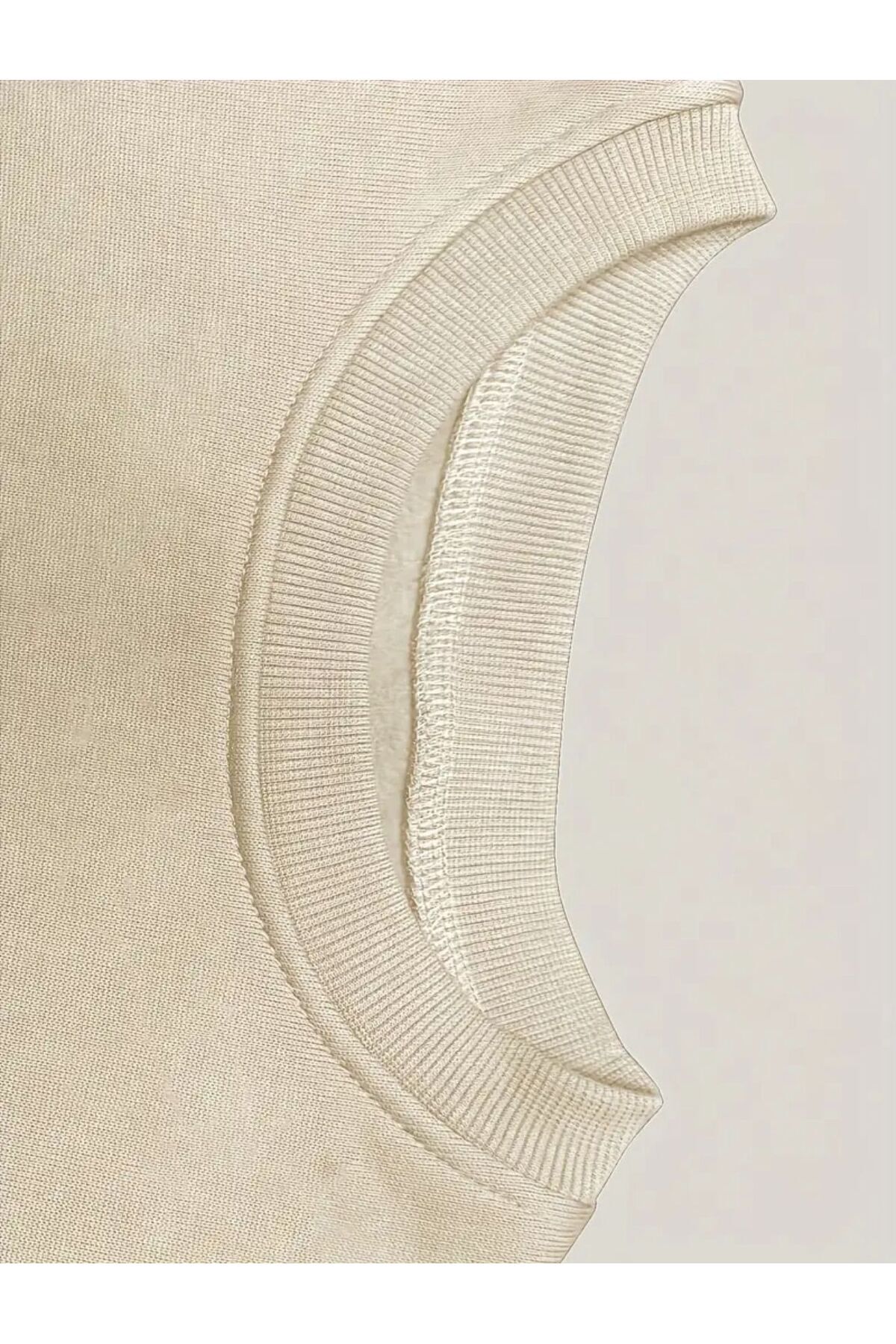 caddekombin  Karahindiba Baskılı Bisiklet Yaka Bej Sweatshirt - Görsel 3