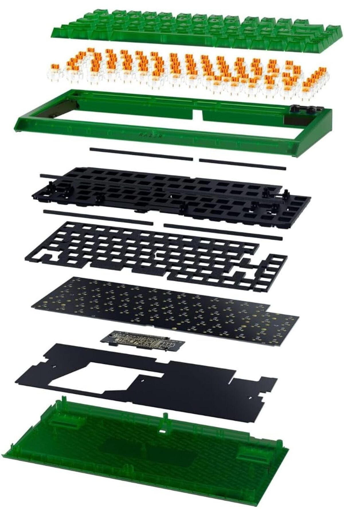 RAZER-BlackWidow V4 75% Mechanical Gaming Keyboard/Orrange Switch/RGB - Phantom Green 8