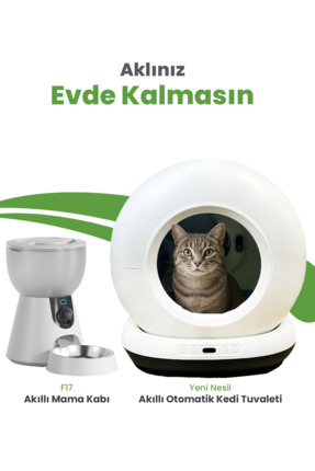 Electron Akıllı Otomatik Kedi Yaşam Seti 2'li Set- Akıllı Otomatik Kedi Tuval...