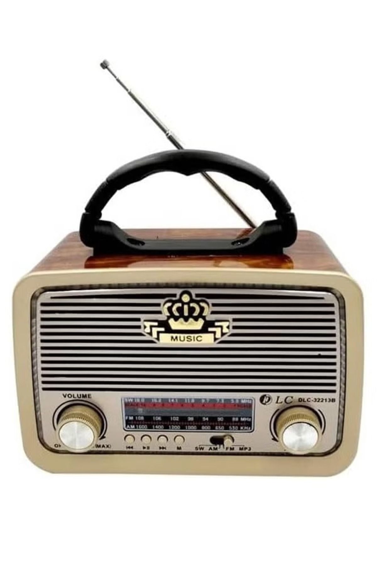 DLC-Radio with Bluetooth and USB Input 1