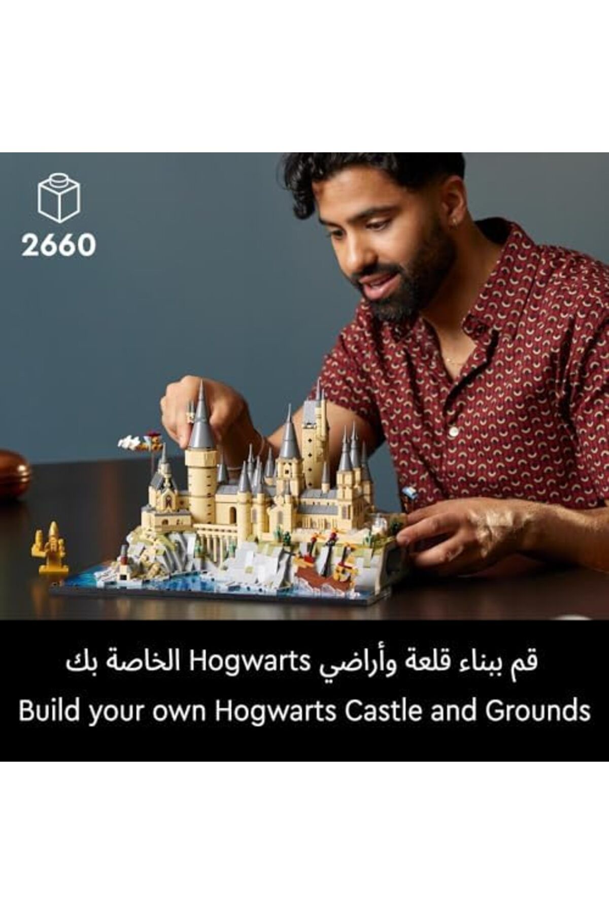 LEGO-Harry Potter Hogwarts Castle and Grounds - Collectible Set for Adults incl. Main & Astronomy To 3
