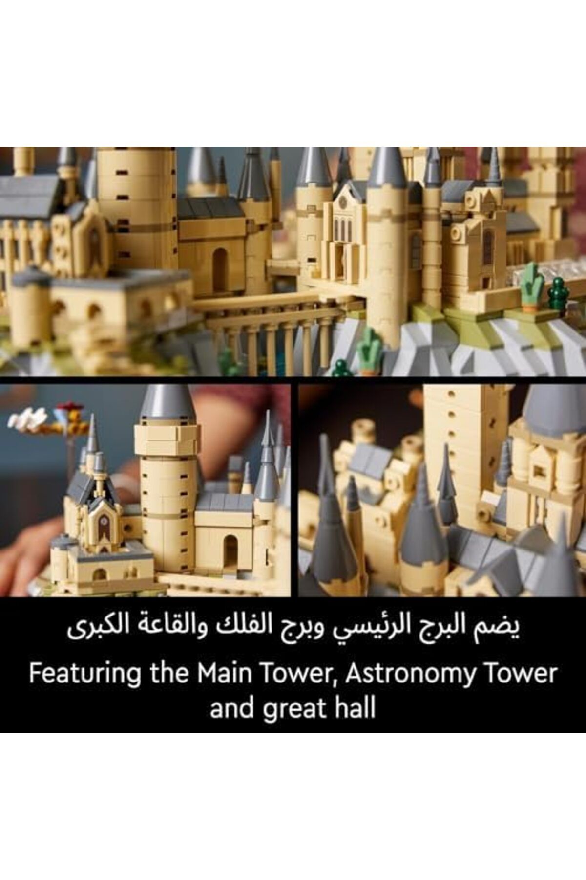 LEGO-Harry Potter Hogwarts Castle and Grounds - Collectible Set for Adults incl. Main & Astronomy To 6