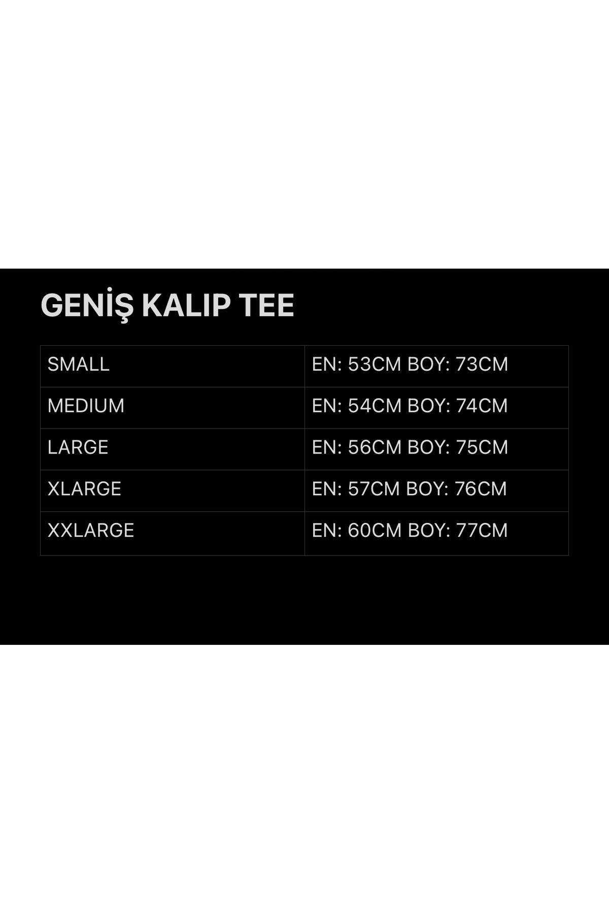 The Coast Dalmaçya Köpek Baskılı Oversize Tişört görsel 2