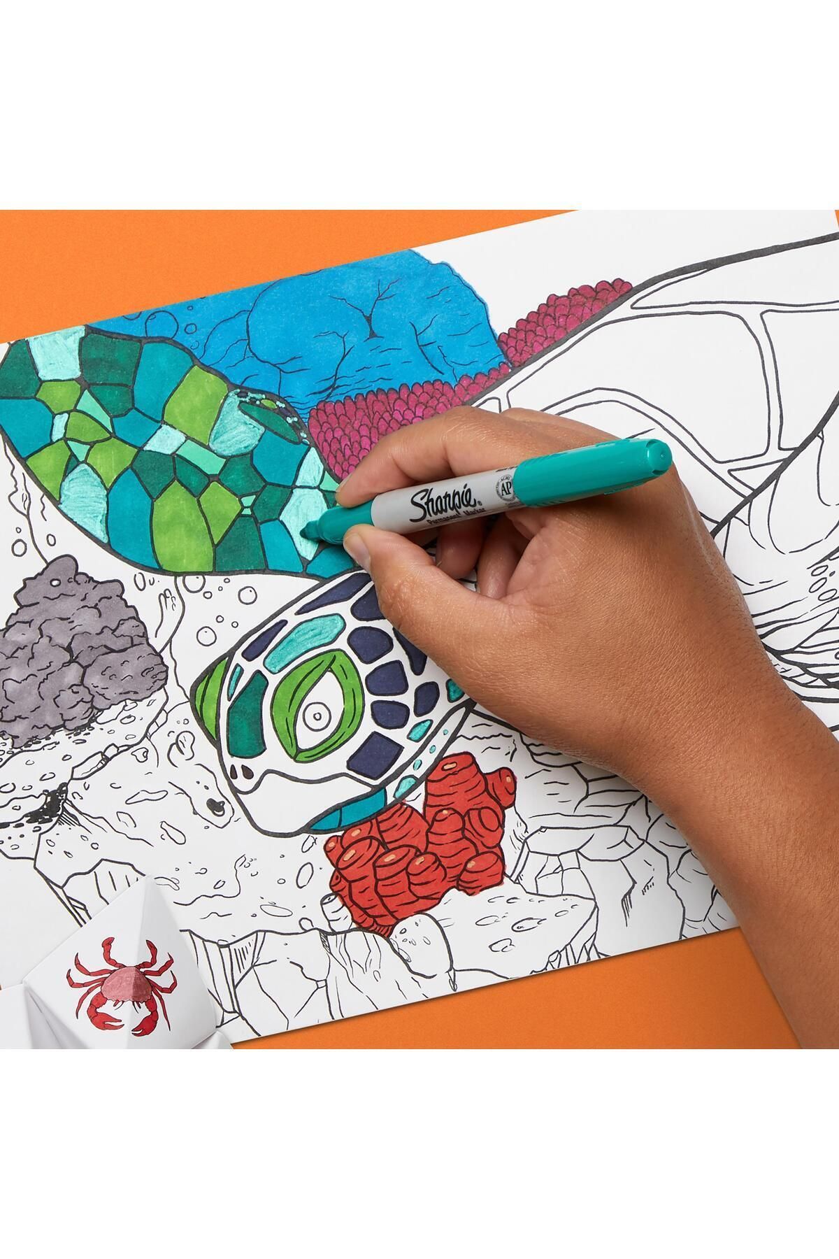 Sharpie-مجموعة من 28 قلمًا دائمًا رائعًا - طاووس 6