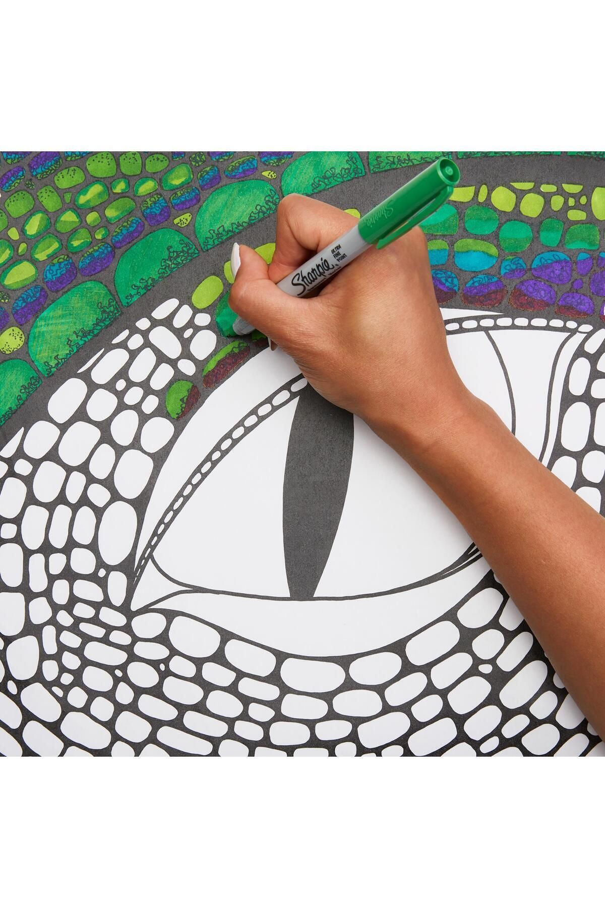 Sharpie-مجموعة من 28 قلمًا دائمًا رائعًا - طاووس 7