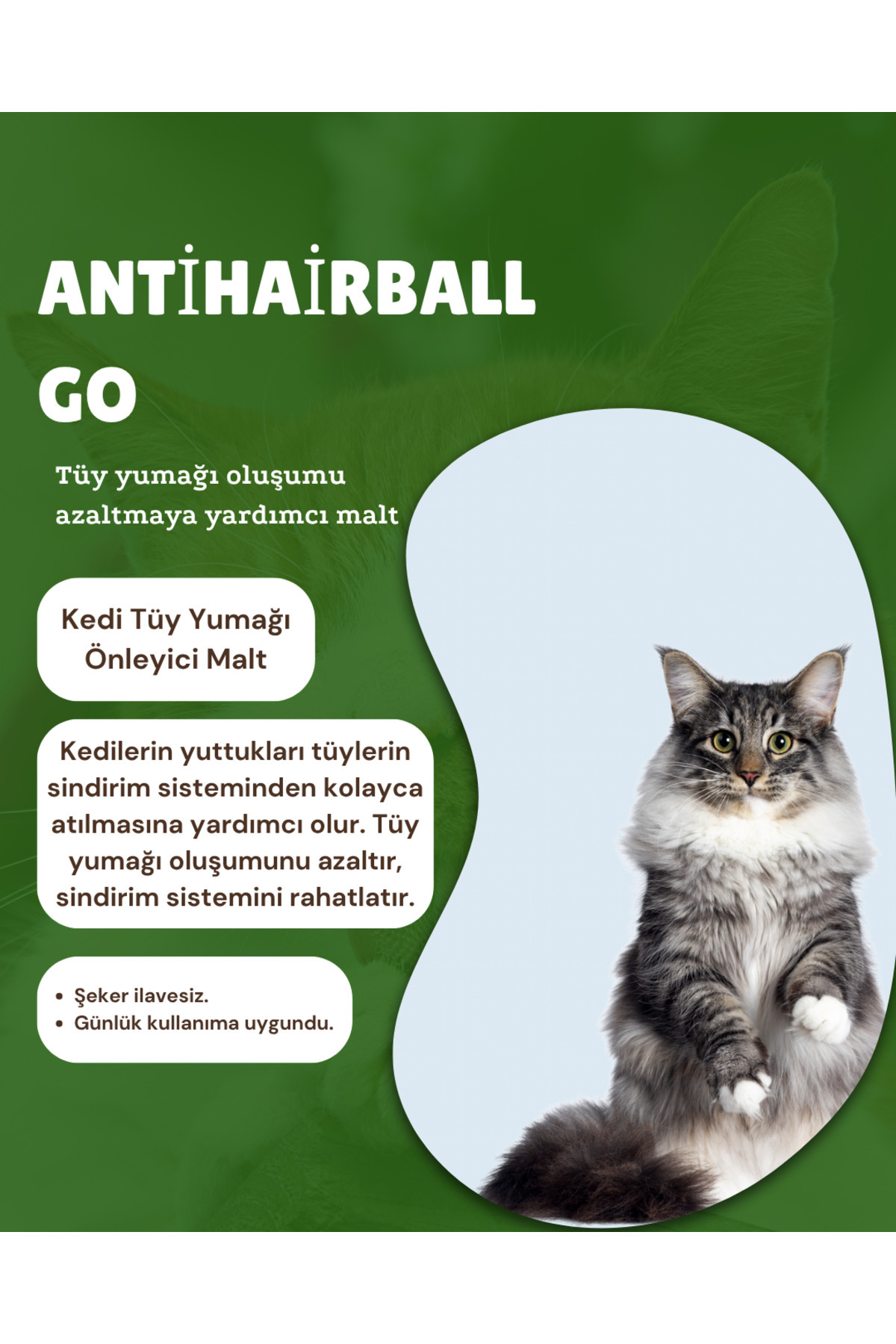 MEDİKAL AntihairballGo