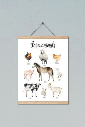 Montessori Ingilizce Eğitici Poster Çiftlik Hayvanları AST-827