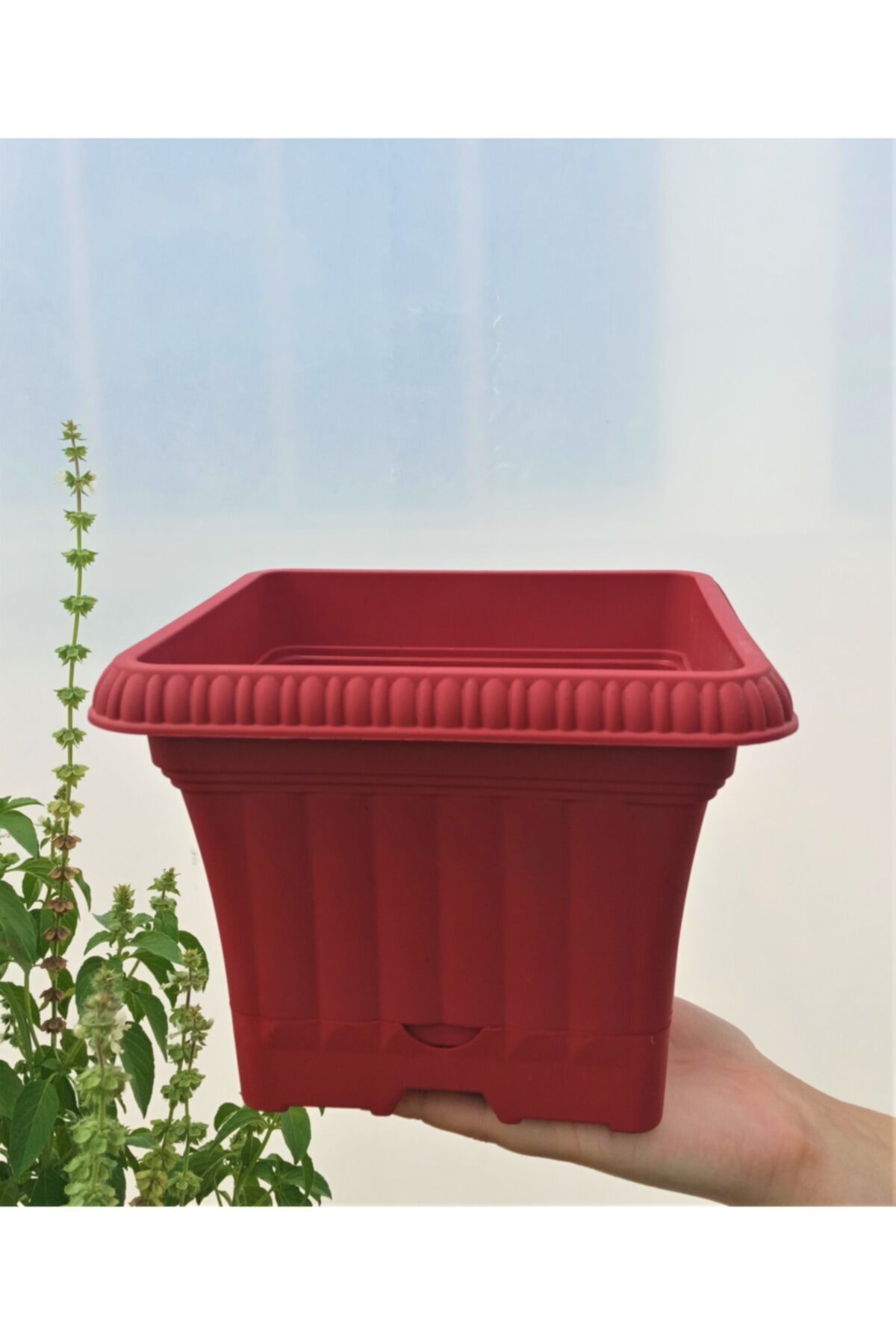Ova Balkon Saksı 2,2 Lt 1 Adet Kırmızı Saksı Ova Saksı Dekoratif Saksı Renkli Saksı Plastik Saksı