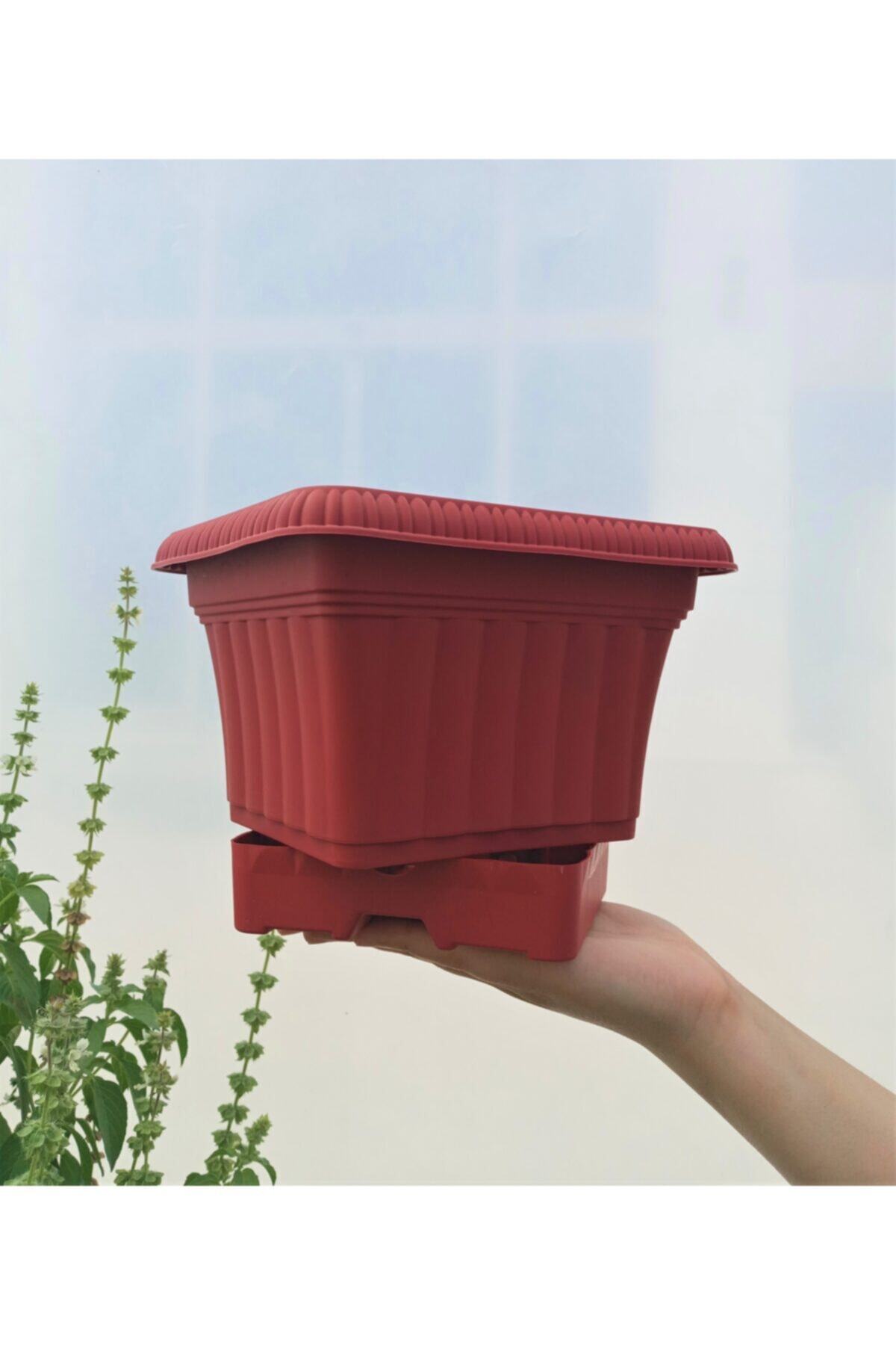 Ova Balkon Saksı 2,2 Lt 1 Adet Kırmızı Saksı Ova Saksı Dekoratif Saksı Renkli Saksı Plastik Saksı 2