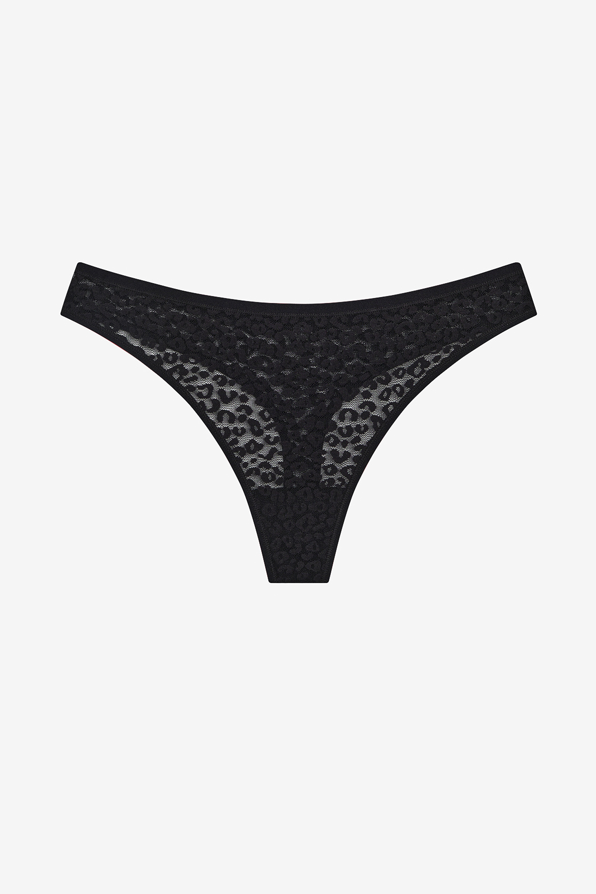Penti-Lace Lace 3-teiliges mehrfarbiges Tanga-Höschen 4