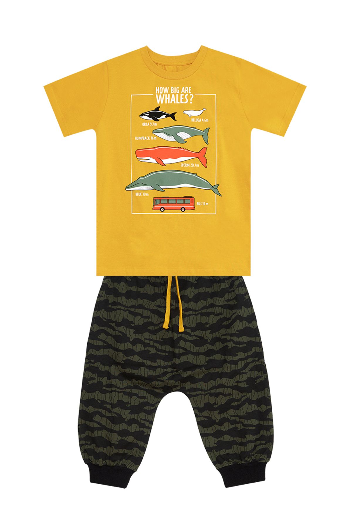MSHB&G-Sommer-Set aus T-Shirt und Caprihose „Big Whales“ für Jungen 3