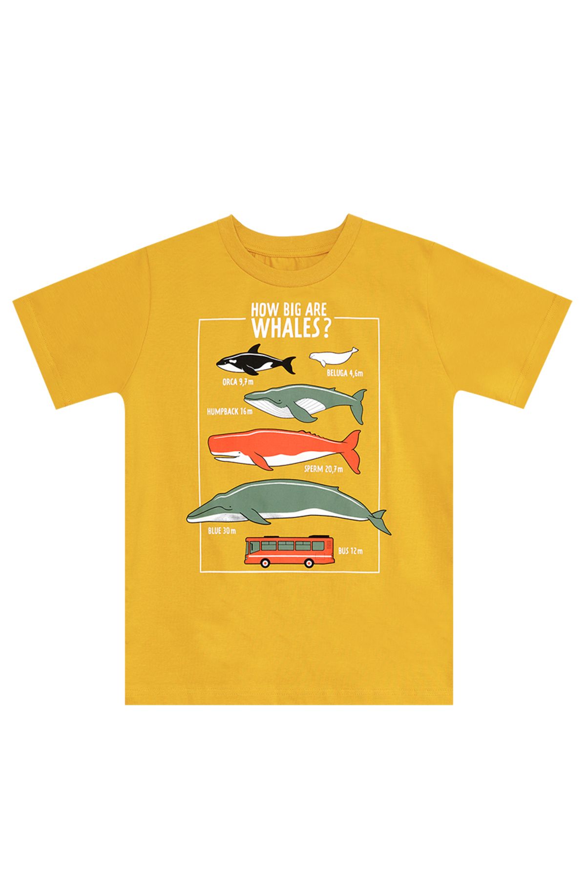 MSHB&G-Sommer-Set aus T-Shirt und Caprihose „Big Whales“ für Jungen 5