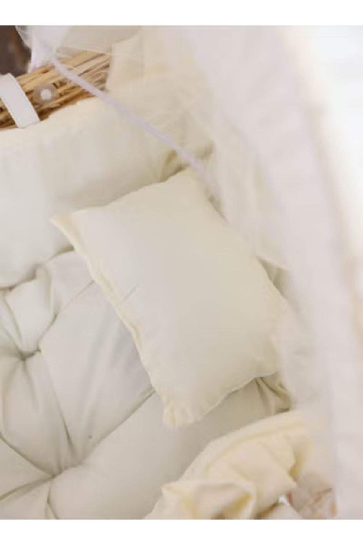 Fun Moment-The cradle of the birth of Moses basket for children with a mosquito net 4