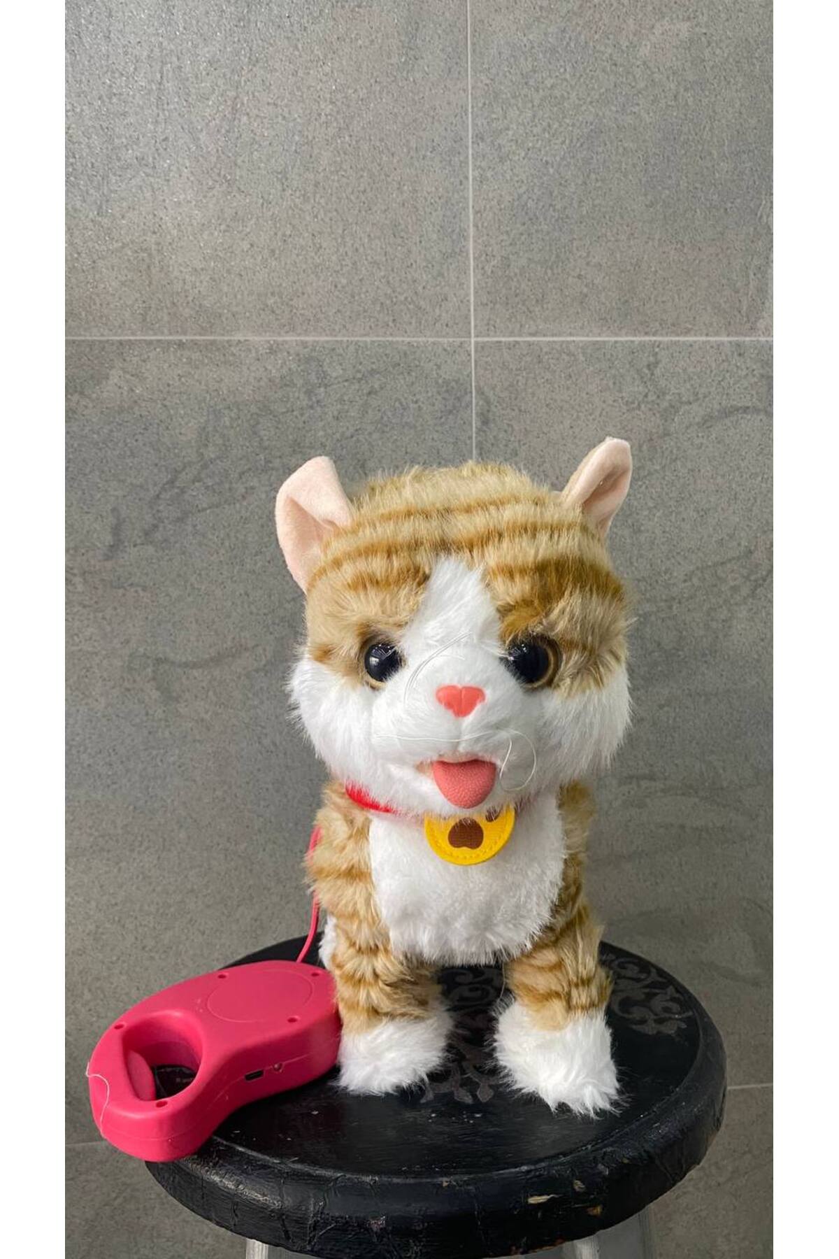 Magicway Şarjlı Müzikli Yürüyen Miyavlayan Yalayan Kuyruk Başını Sallayan Ses Kaydını Tekrarlayan Peluş Kedi fotoğrafı 5 (önizleme)