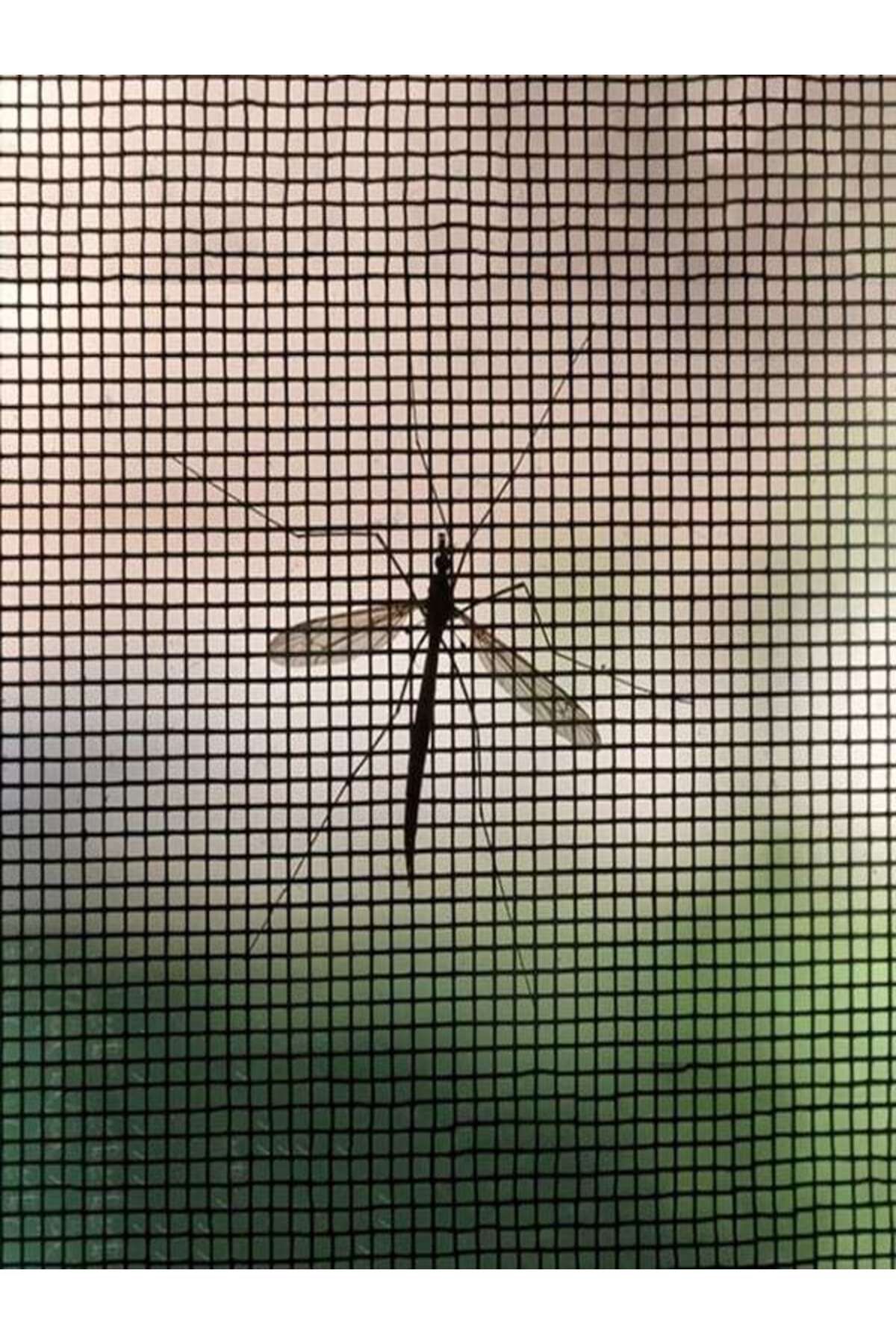 ANTBRO-White mosquito net for window 1 × 1 m, insect protection, assembly with tape and knife included 3