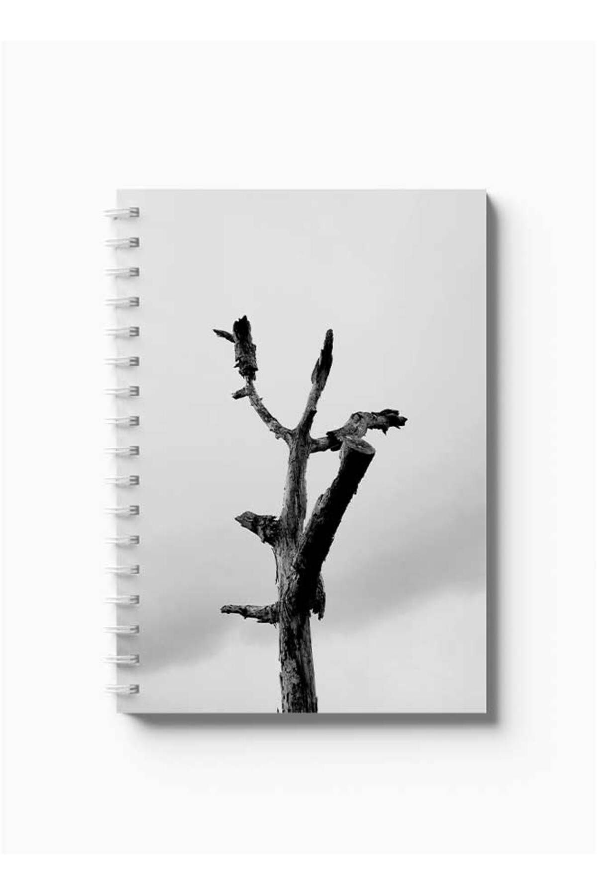 LOWHA-Spiral Notebook with Front and Back Hard Covers Featuring Burnt Tree Design 5