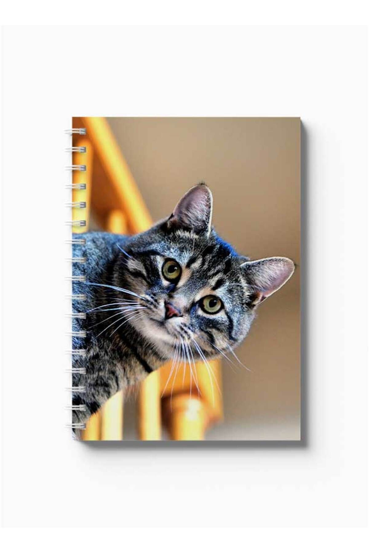 LOWHA-Spiral Notebook with Front and Back Hard Covers Featuring Cat Design 5