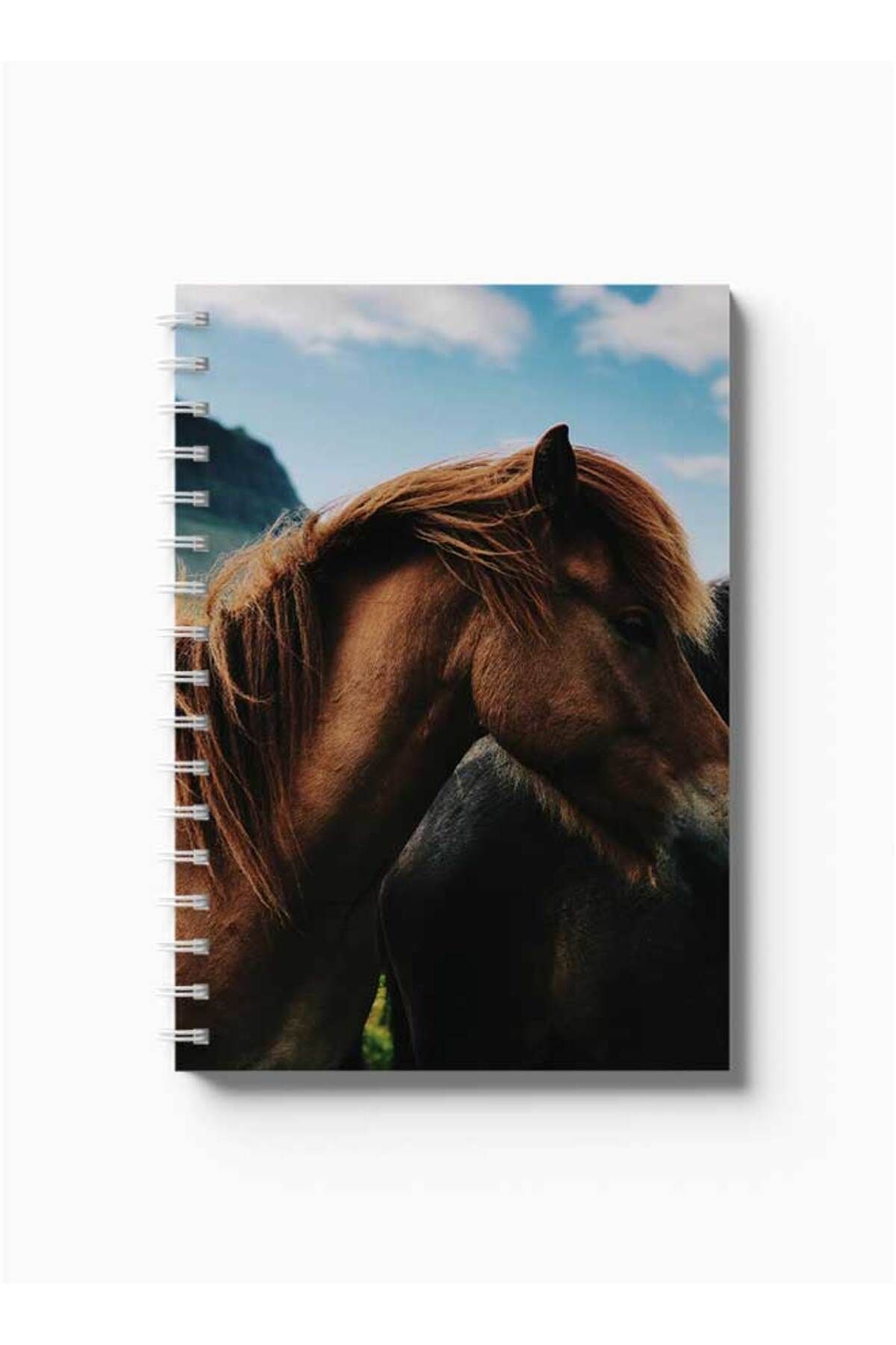 LOWHA-Spiral Notebook with Front and Back Hard Covers Featuring Horse Design 5