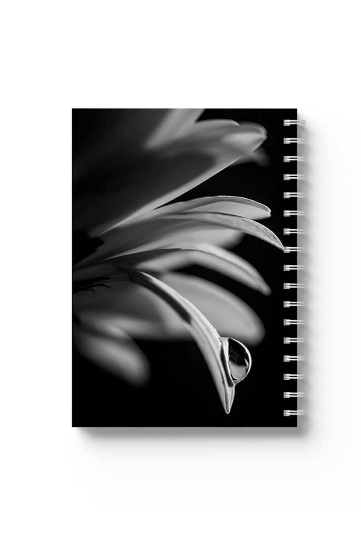 LOWHA-Spiral Notebook with Front and Back Hard Covers Featuring Flower with A Drop of Water Design 1
