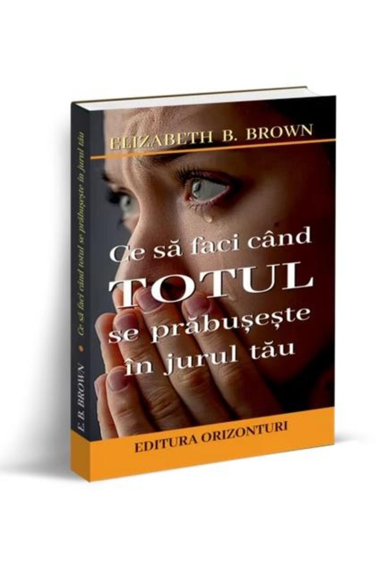 Editura Orizonturi-What to do when everything is collapsing around you, 1