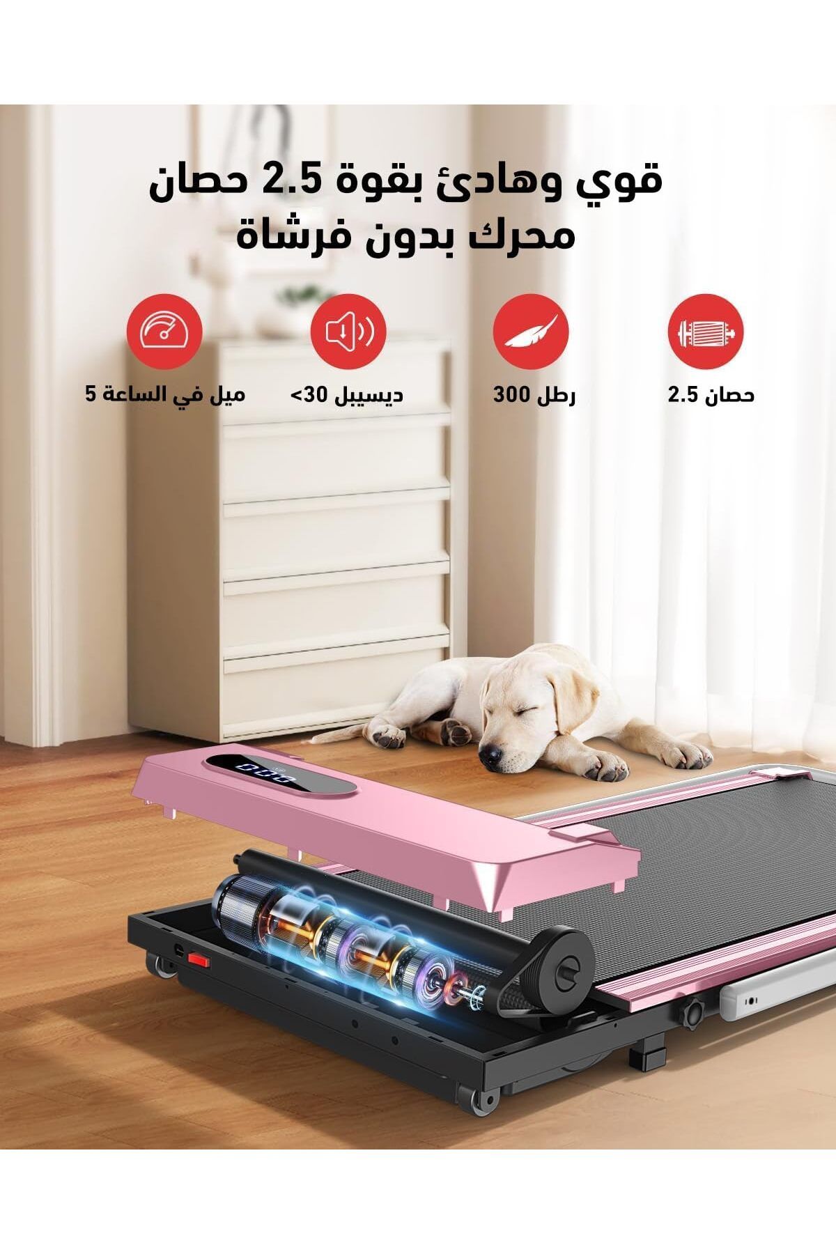 ETG-Foldable Treadmill, Smart Walking Running Machine, with 2.0HP Electric Treadmill 3