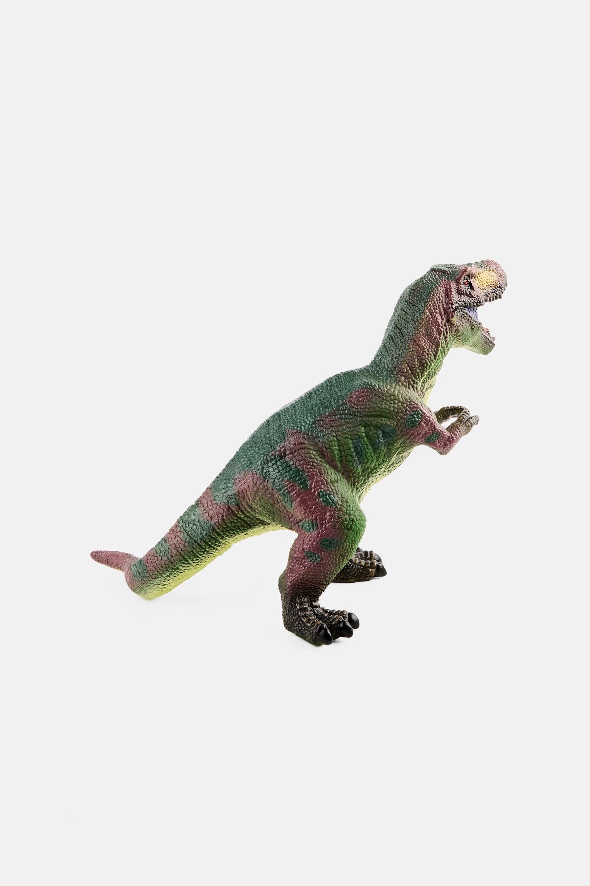 Ton O' Fun-Dino Planet Tyrannosaurus 3