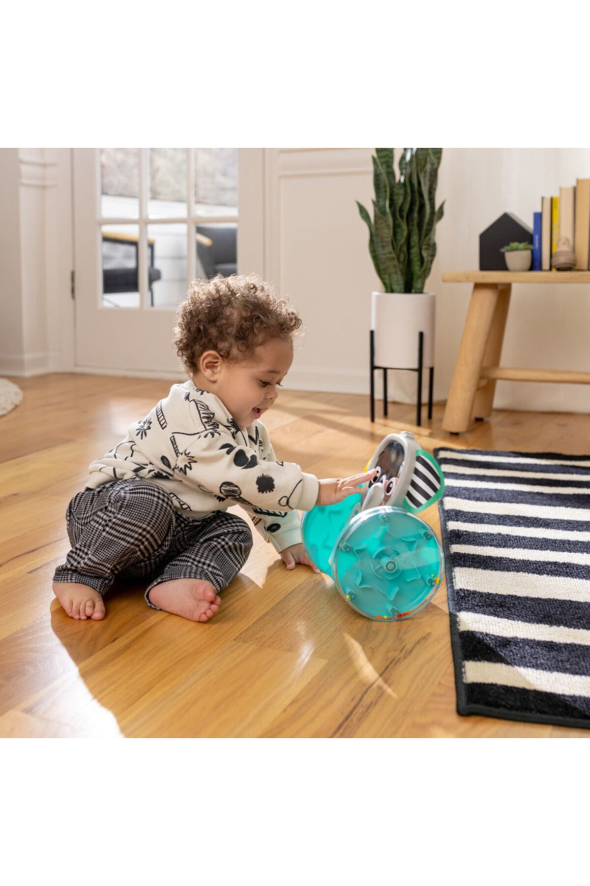 اسباببازی تعاملی خزیدن Baby Einstein Chase & Tap Earl، ۶ تا ۳۶ ماه