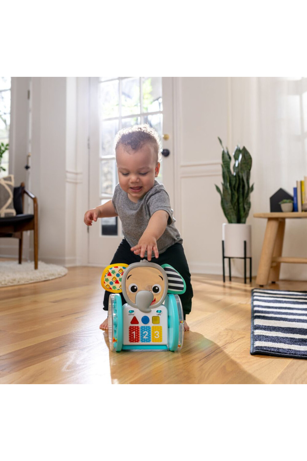 اسباببازی تعاملی خزیدن Baby Einstein Chase & Tap Earl، ۶ تا ۳۶ ماه