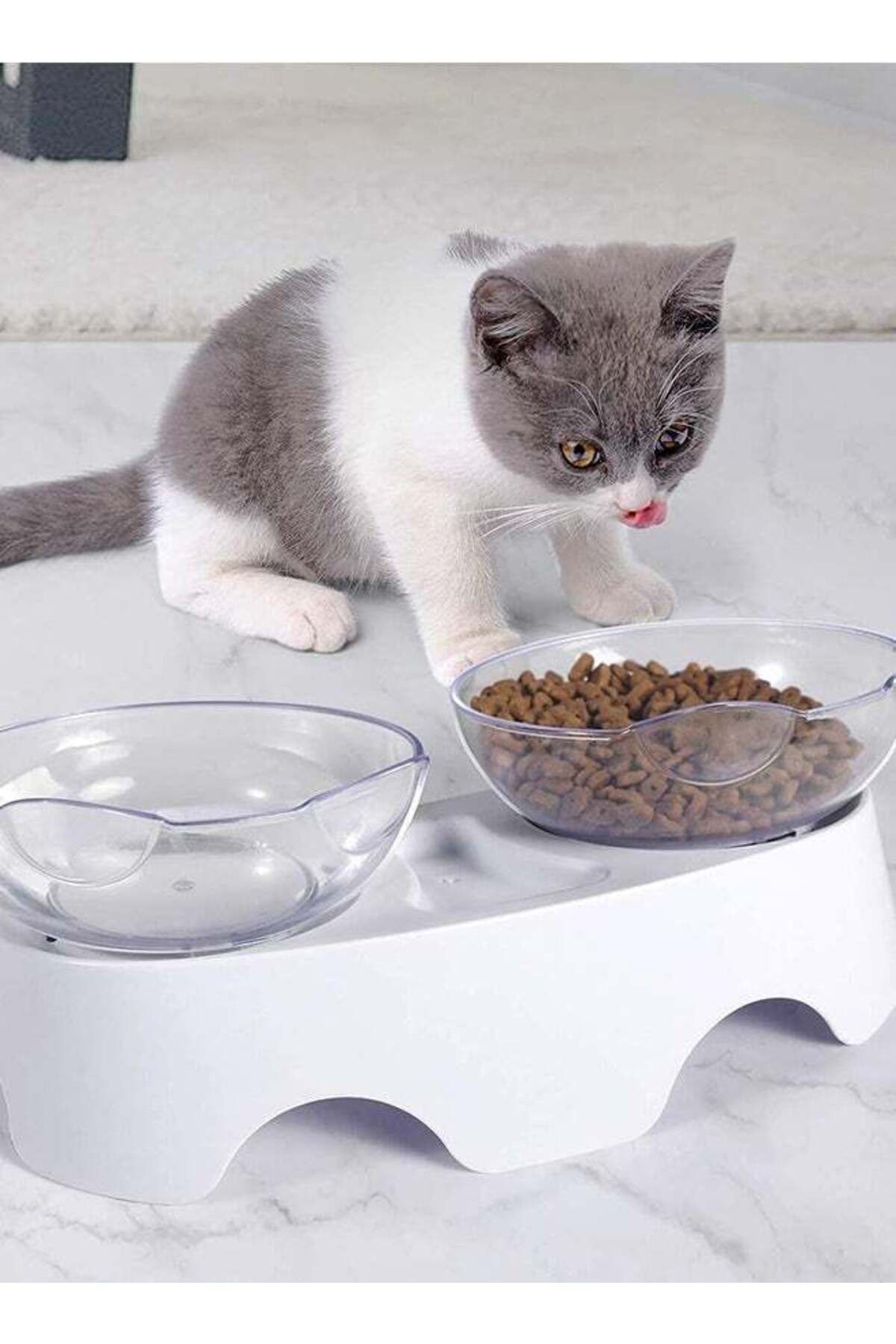 COOYA-أوعية طعام مرتفعة للقطط، أطباق مزدوجة مائلة بزاوية 15 درجة للقطط/الجراء، لون أبيض 7